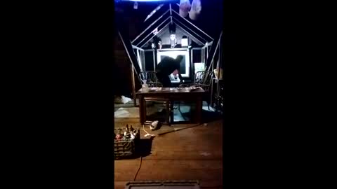 buddylovex online show from 05/11/26, 05:46