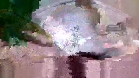 buffsurgeon1 online show from 09/08/25, 05:34