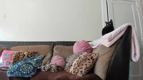 Snapshot of buffybarloe chatting on 12/02/24, 06:32 Buffy online show from 12/02/24, 06:32