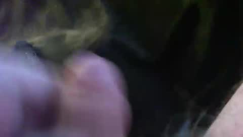 bullemoe online show from 01/14/25, 02:11