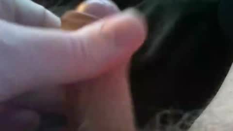 bullemoe online show from 10/04/25, 02:37