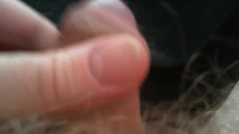 bullemoe online show from 02/02/26, 09:52