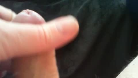 Snapshot of bullemoe chatting on 03/24/26, 10:09 bullemoe online show from 03/24/26, 10:09