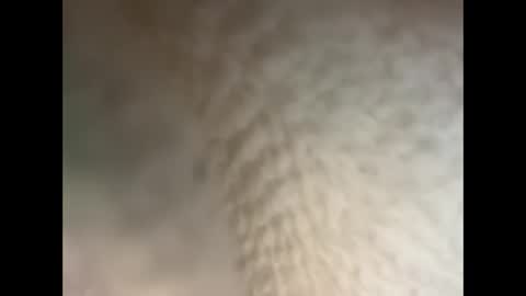 bull cub online show from 12/05/24, 11:40