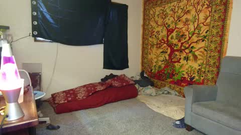 Shane online show from 11/16/25, 04:56