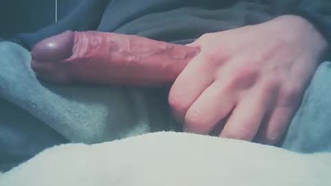 Snapshot of bundy2016 chatting on 12/27/24, 08:24 Dutch cock online show from 12/27/24, 08:24