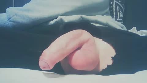 Snapshot of bundy2016 chatting on 02/23/25, 03:40 Dutch cock online show from 02/23/25, 03:40