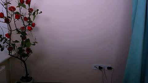 Snapshot of bunnybloom_ chatting on 10/21/25, 04:13 Ariel online show from 10/21/25, 04:13