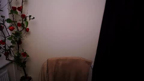 Snapshot of bunnybloom_ chatting on 03/20/26, 09:08 Ariel online show from 03/20/26, 09:08