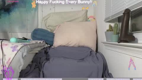 Snapshot of bunnycheekz chatting on 12/04/24, 11:24 Tokki  bunny  online show from 12/04/24, 11:24