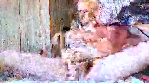 burnzart online show from 09/22/25, 08:33