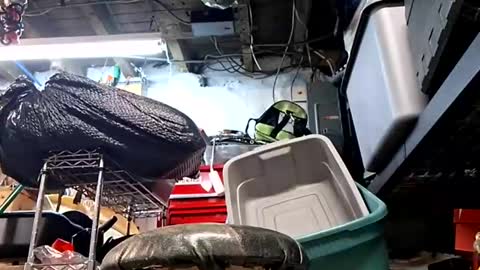 bushdoctor1 online show from 09/10/25, 09:53