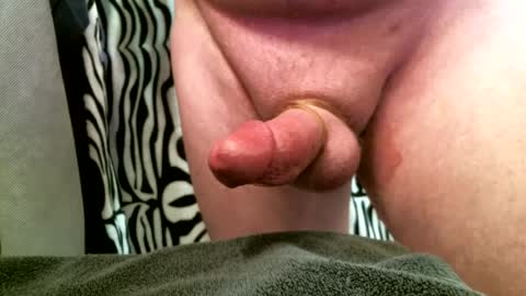 bustinfree online show from 02/12/25, 03:16