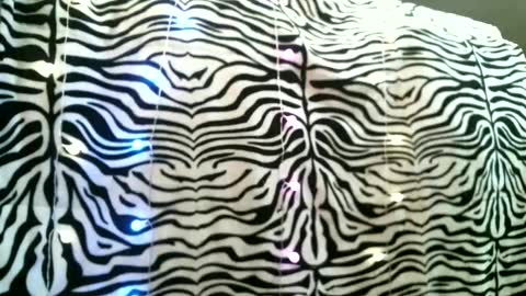 bustinfree online show from 02/24/25, 03:42