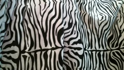 bustinfree online show from 02/28/25, 03:37