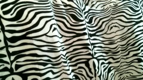 bustinfree online show from 09/09/25, 05:56