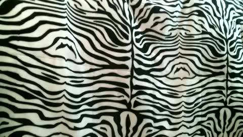 bustinfree online show from 09/16/25, 03:35