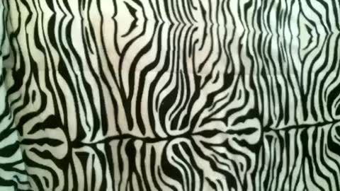 bustinfree online show from 10/18/25, 12:39