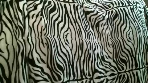 bustinfree online show from 12/22/25, 03:53