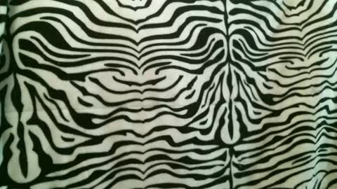 bustinfree online show from 01/12/26, 02:55