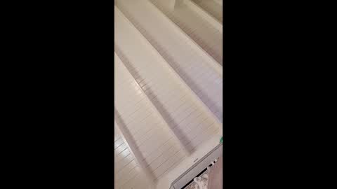 bustyirie online show from 02/03/26, 05:40