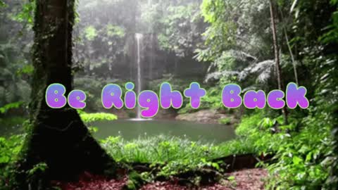 Butterfly and Bear online show from 12/08/24, 09:19