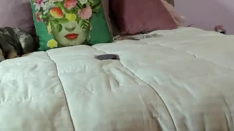 Snapshot of bvby_mia chatting on 04/21/26, 02:48 bvby_mia online show from 04/21/26, 02:48