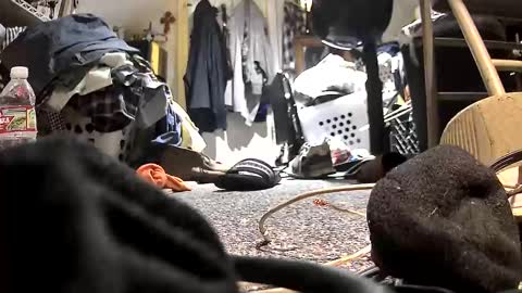 Snapshot of c547409 chatting on 10/21/25, 10:32 c547409 online show from 10/21/25, 10:32