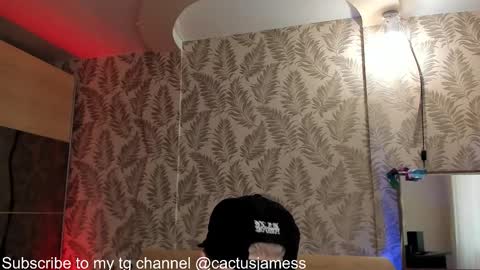 Snapshot of cactusjames_69 chatting on 10/07/25, 10:12 James online show from 10/07/25, 10:12