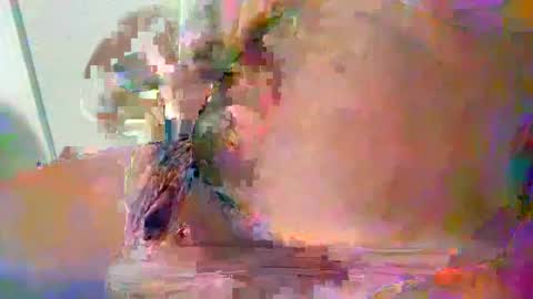 Teddy online show from 12/17/24, 04:53