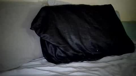 Snapshot of caligirl310r chatting on 01/27/25, 03:50 Caligurl Queen Head Fluffer In Charge Goddess of Cocktease Mistress of Holes online show from 01/27/25, 03:50