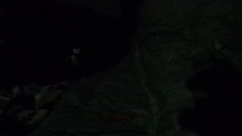 Snapshot of calisguitar chatting on 12/29/24, 07:39 Calisguitar online show from 12/29/24, 07:39