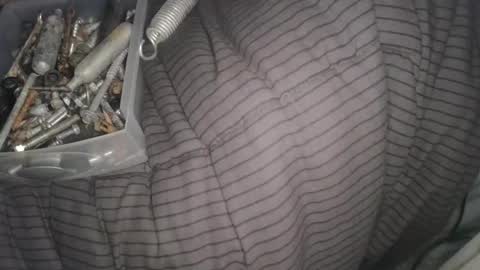 Snapshot of calisguitar chatting on 02/13/25, 11:17 Calisguitar online show from 02/13/25, 11:17