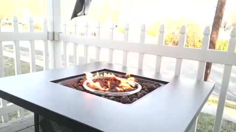 Snapshot of camaro383ci1994 chatting on 12/25/24, 02:23 Chillaxin lets talk online show from 12/25/24, 02:23