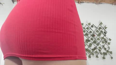 camihotboobs online show from 01/29/25, 07:43