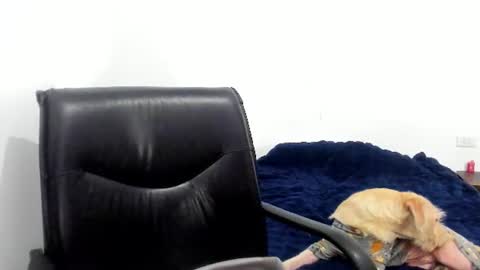 Snapshot of camila_berk chatting on 06/12/26, 04:22 Cami online show from 06/12/26, 04:22