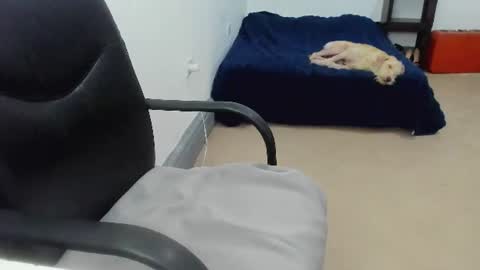 Snapshot of camila_berk chatting on 07/10/26, 08:33 Cami online show from 07/10/26, 08:33