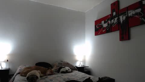 Snapshot of camila_bigcock_ts chatting on 03/12/25, 07:24 camila online show from 03/12/25, 07:24