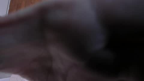 camilaa_smith_ online show from 04/02/26, 07:55