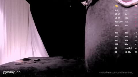 Snapshot of camilaramirez_ chatting on 12/17/24, 11:05 camilaramirez_ online show from 12/17/24, 11:05