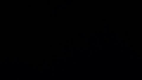 camilio96 online show from 12/07/24, 02:09