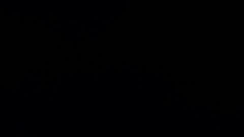 camilio96 online show from 12/12/24, 04:15