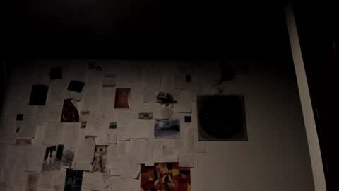  Camille   online show from 01/20/25, 12:28