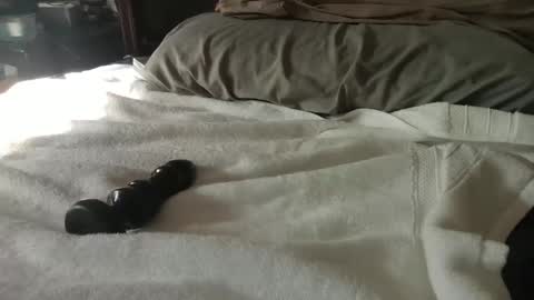 CanadianBoy88 online show from 01/27/25, 07:24