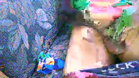 7777 online show from 03/02/25, 07:45