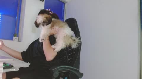 candy_giuliana21 online show from 04/17/26, 12:02