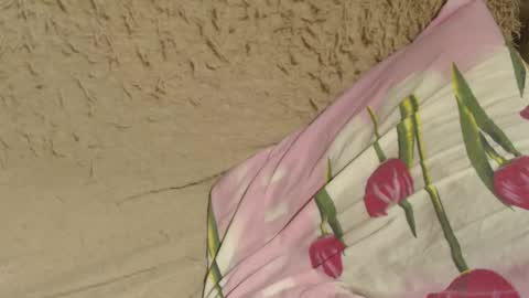 say meow and send tips  online show from 12/07/24, 09:11