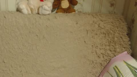 Snapshot of candylady136 chatting on 12/13/24, 05:21 say meow and send tip online show from 12/13/24, 05:21