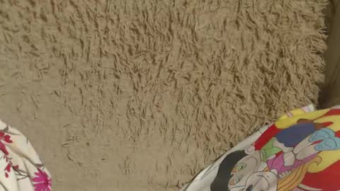 Snapshot of candylady136 chatting on 02/14/25, 08:05 say meow and send tip online show from 02/14/25, 08:05