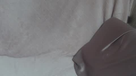 say meow and send tip  online show from 02/24/26, 12:52